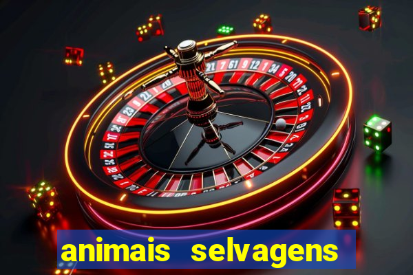 animais selvagens fotos e nomes